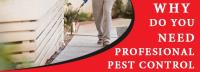 Impressive Pest Control Ipswich image 12